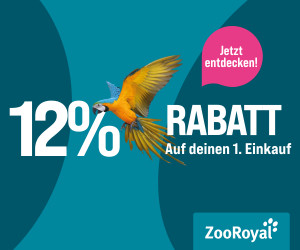 12%