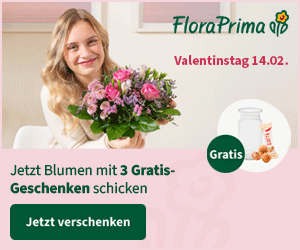 Blumen mit 3 gratis Geschenken